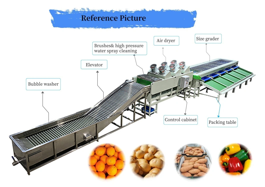 Automatic Fruits&Vegetables Bell Pepper Potato Cleaning Size Sorting Machine Fruit Sorter Diameter Grading Equipment