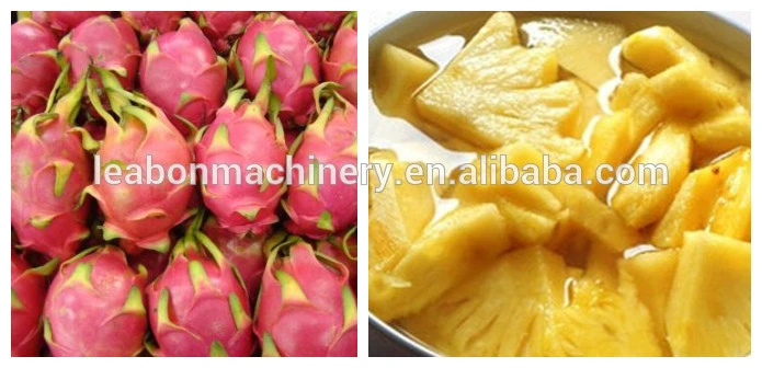 Industrial Vegetable Fruit Juice Extractor Machine Vegetable Fruit Juicer Extractor Machine